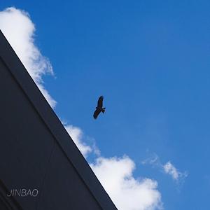 老太太三人口肛交
